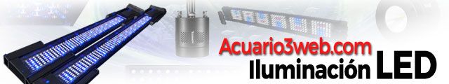 Lámpara para pecera y Luz LED de acuario