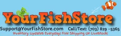 Logotipo de Yourfishstore.com
