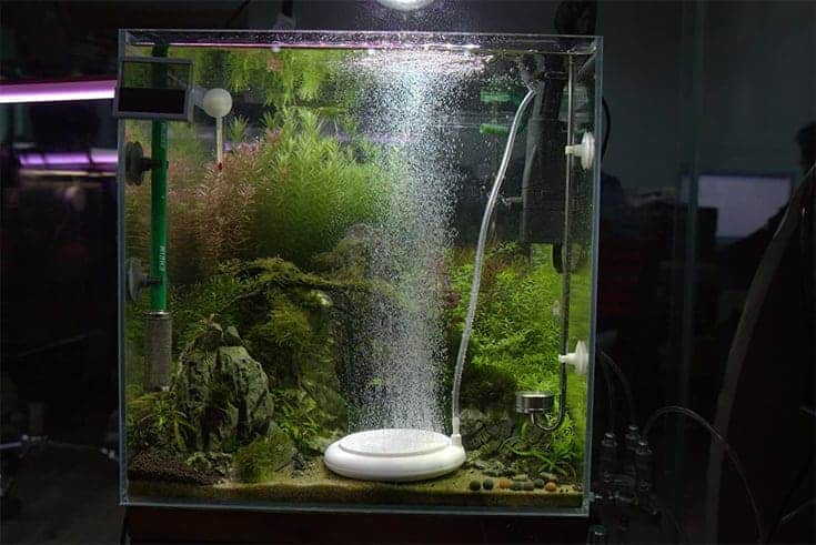diseño de burbujas Dabixx Difusor de piedra de aire para acuario 