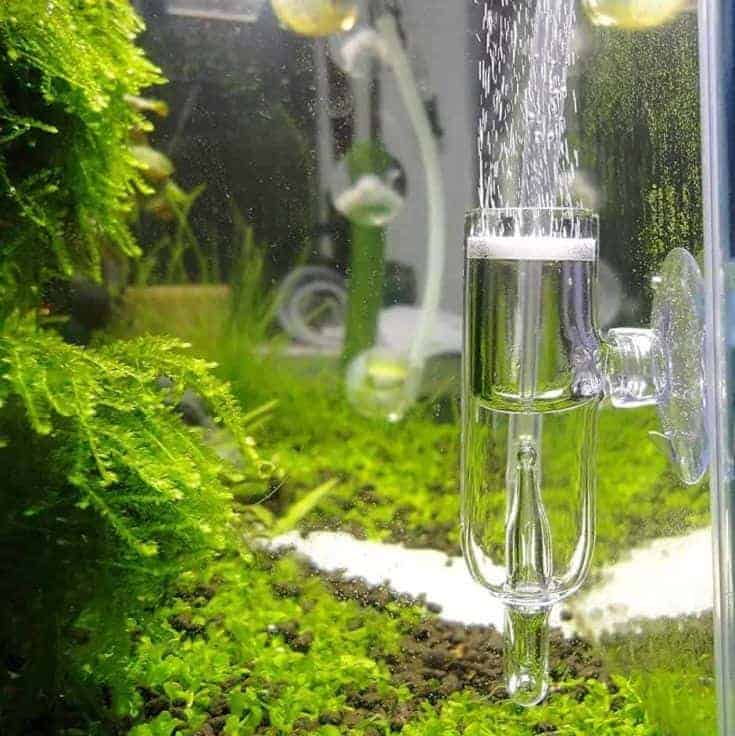 Difusor de CO2 de vidrio de polen con contador de burbujas JARDLI