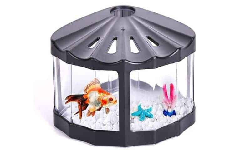 Pecera - Betta Fish Bowl Goldfish Aquarium Kit Beta Fishbowl para cangrejos Tortuga Reptil Medusa Camarón Algas Insectos